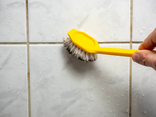  Wallingford Center, CT Mold Removal Pros