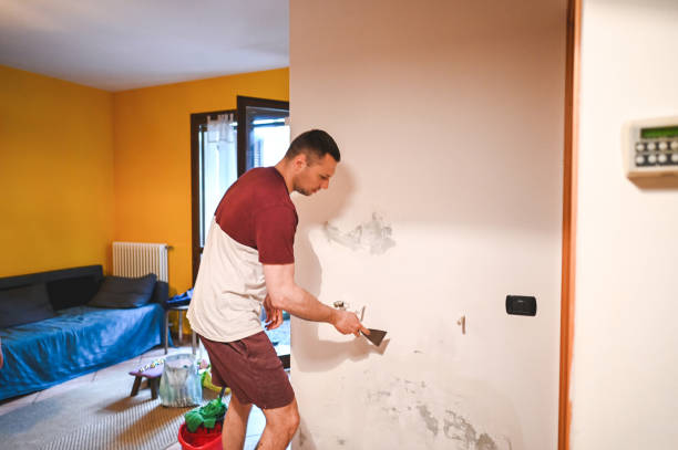 Best Affordable Mold Removal  in Wallingford Center, CT